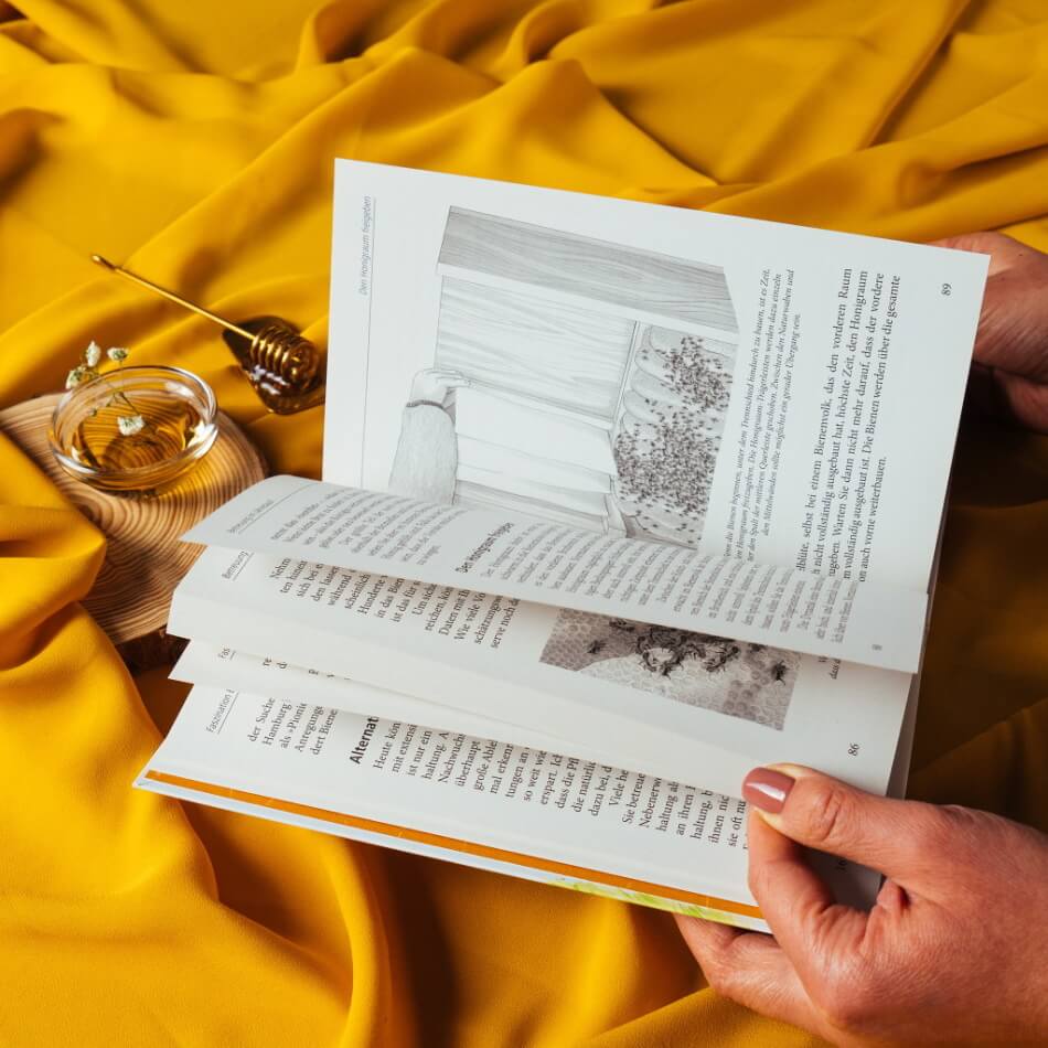 Buch: Die Bienenkiste - Selbst Honigbienen halten