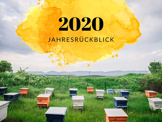 Jahresrückblick 2020 - so sah das letzte Jahr bei beegut aus