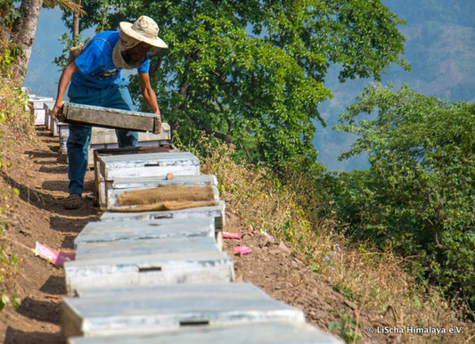98 Bienenkörbe für Nepal