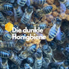 Die Dunkle Europäische Honigbiene