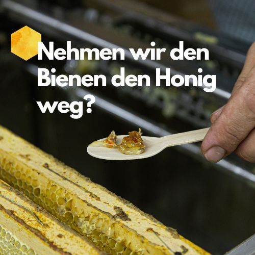 Nehmen wir den Bienen den Honig weg?
