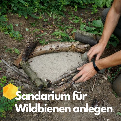 Sandarium für Wildbienen bauen - so geht's