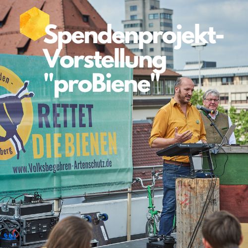 Projektvorstellung: proBiene - Freies Institut für ökologische Bienenhaltung
