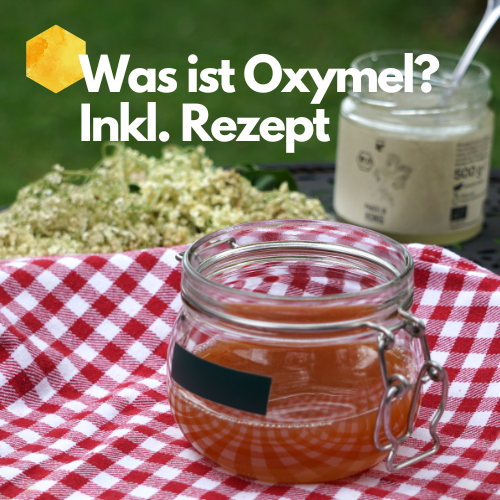 Was ist Oxymel? (Inkl. Rezept) | beegut MAGAZIN