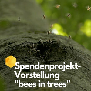 Bees in Trees – Verein zur Förderung der Erforschung der Honigbiene als Waldtier e.V.