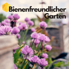 5 Tipps für einen bienenfreundlichen Garten