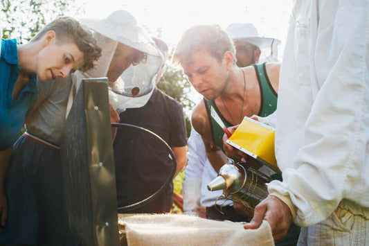 (Hobby)Imker werden - Selber Bienen halten (Überblick & FAQ)