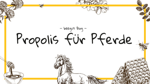 Propolis für Pferde