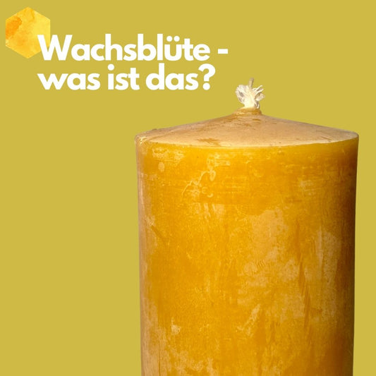 "Wachsblüte" bei Bienenwachs - was ist denn das?