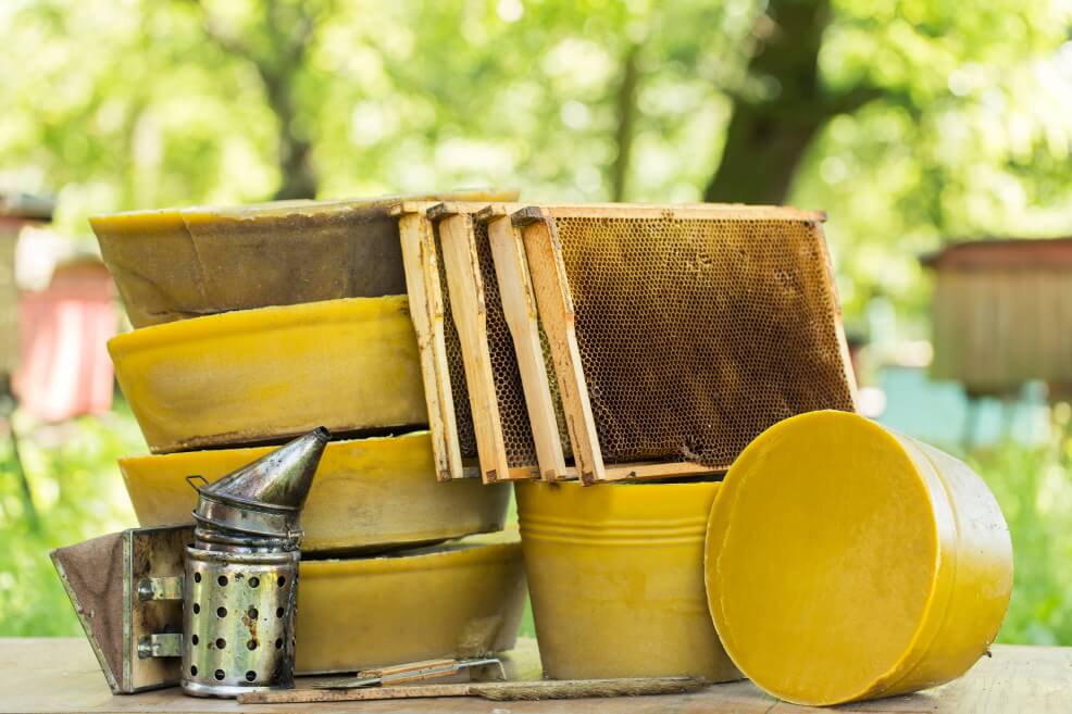 Alles was du über Bienenwachs wissen musst - beegut Bienenwissen