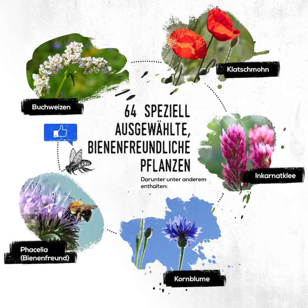 Sorgsam ausgewählte Pflanzensamen=>Nicht nur die bekannte Honigbiene, sondern auch zahlreiche Wildbienenarten profitieren von der Vielfalt der Pflanzensamen in unserer Mischung, die ihnen wertvolle Nahrungsquellen und Lebensräume bietet.
