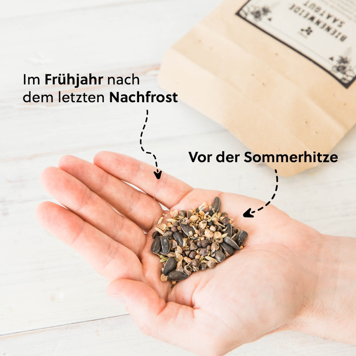 Der richtige Termin zur Aussaat=>Die Aussaat sollte nach dem letzten Nachtfrost erfolgen, bei feuchtem Boden und Temperaturen zwischen 12 und 20 Grad Celsius, um den besten Start für die Keimlinge und eine optimale Blütezeit für die Bienen zu gewährleisten.