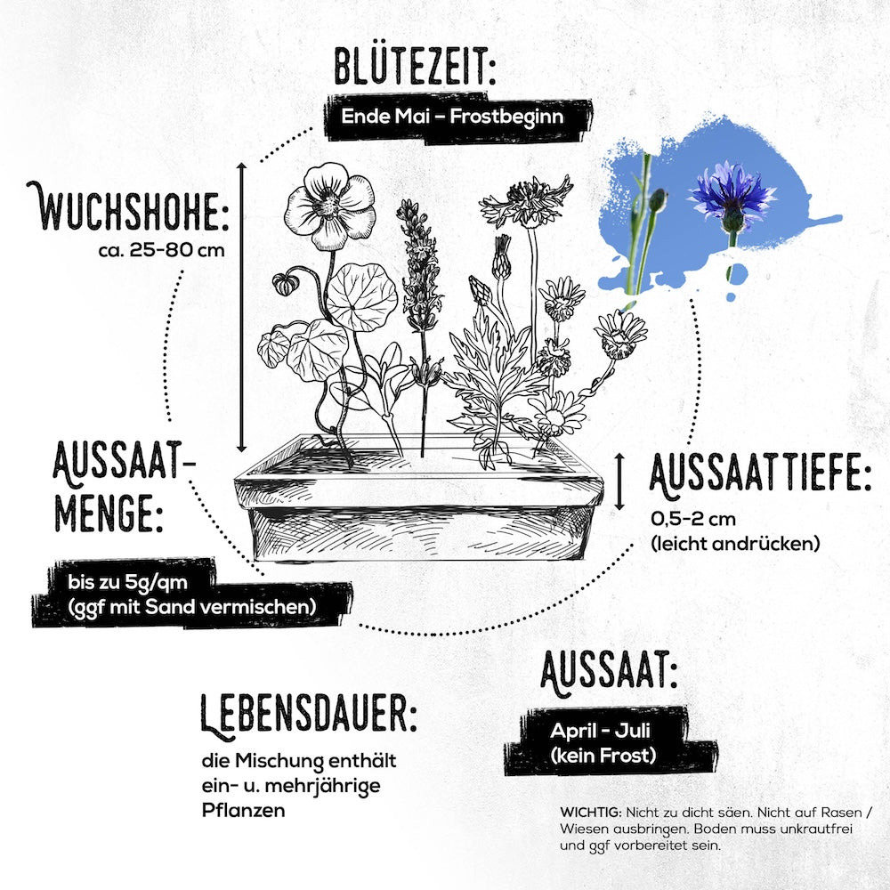 Fehler, die zu vermeiden sind=>Unzureichende Bodenvorbereitung verhindert eine gute Keimung und Wurzelbildung, während zu viel Wasser die Samen ersticken und Fäulnis fördern kann. Tipps findest du in unserer Anleitung.
