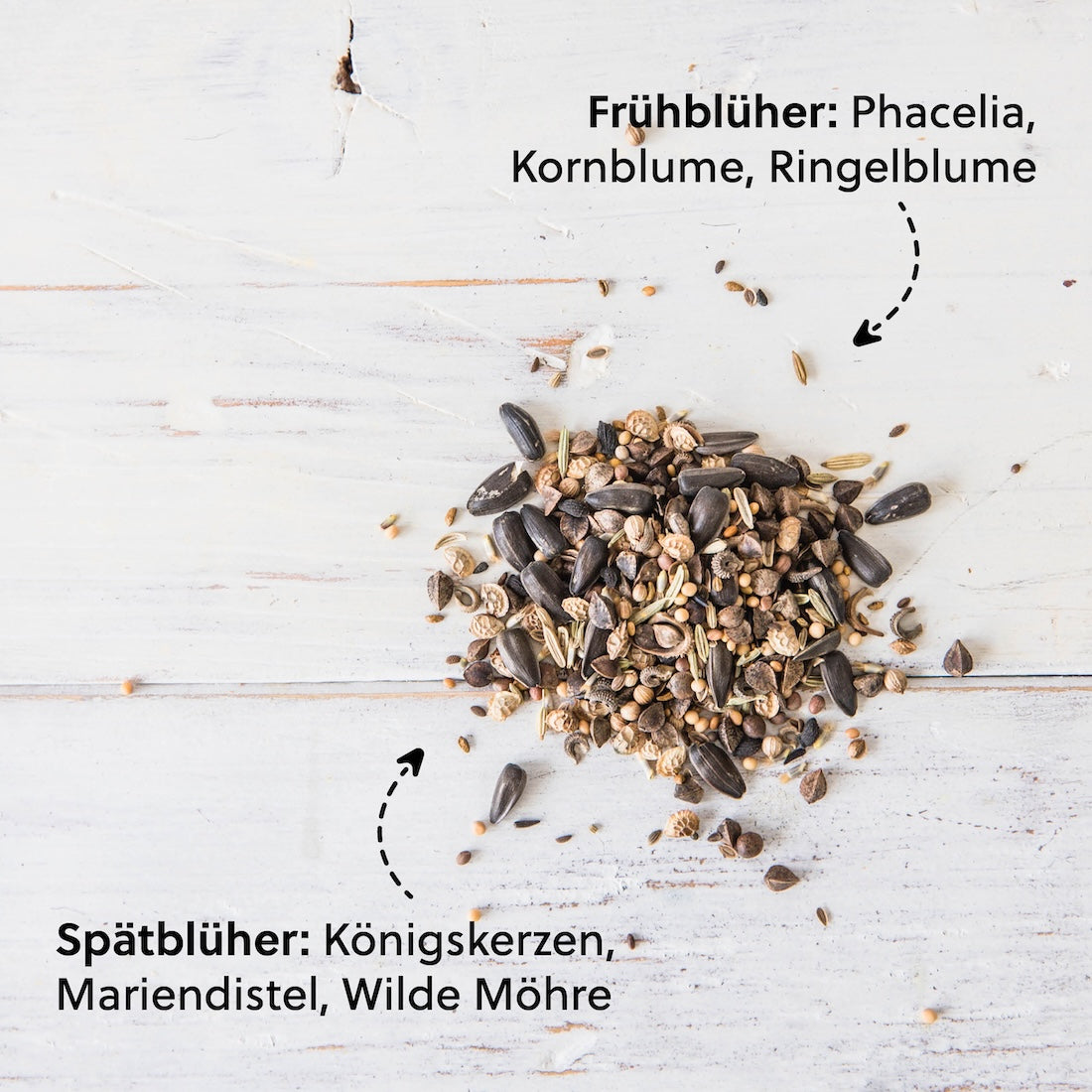 Vielfältige Blühphasen=> Die Mischung enthält sowohl Früh- als auch Spätblüher, sodass Deine Bienen über einen langen Zeitraum hinweg mit Nektar und Pollen versorgt werden – von Frühling bis in den Herbst.