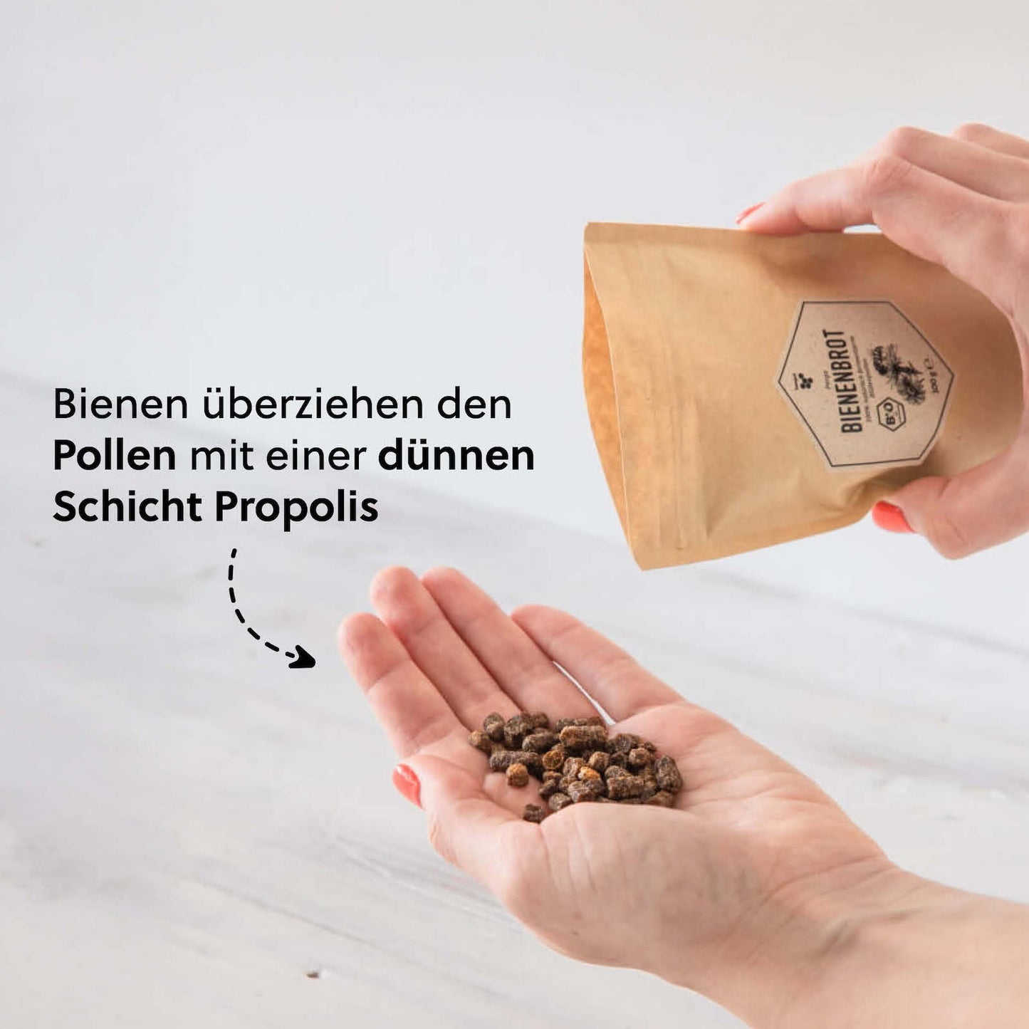 Vom Blütenpollen zum Bienenbrot=>Bienen konservieren die Pollen, indem sie sie durchkauen. Dabei fügen sie ihnen Enzyme hinzu, die den Pollen eine Milchsäuregärung durchmachen lassen. Blütenpollen fermentieren also auf eine ähnliche Weise wie Sauerteig und werden dadurch zum lagerfähigen Bienenbrot.