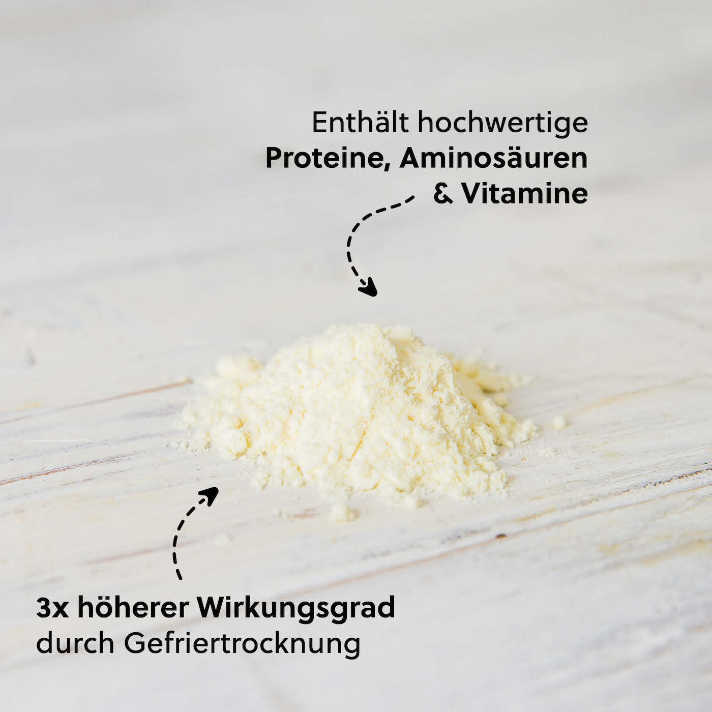 Hochdosiertes Gelee Royal Pulver=>Durch die Gefriertrocknung (Lyophilisation) wird das Wasser aus dem frischen Gelee Royal entfernt, während hitzeempfindliche Wirkstoffe erhalten bleiben. Dadurch ist das Pulver bis zu 3 Mal konzentrierter als frisches Gelee Royal.