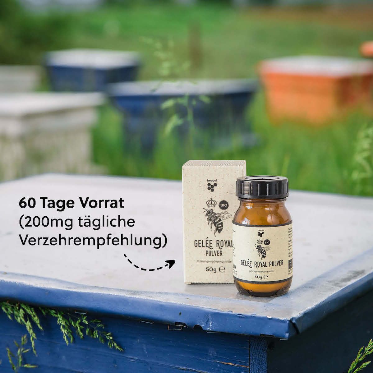 Längere Haltbarkeit=>Frisches Gelee Royal ist kühlungspflichtig und verdirbt schnell. Gefriergetrocknetes Pulver ist stabil, leicht zu lagern und hat eine viel längere Haltbarkeit ohne Kühlung.