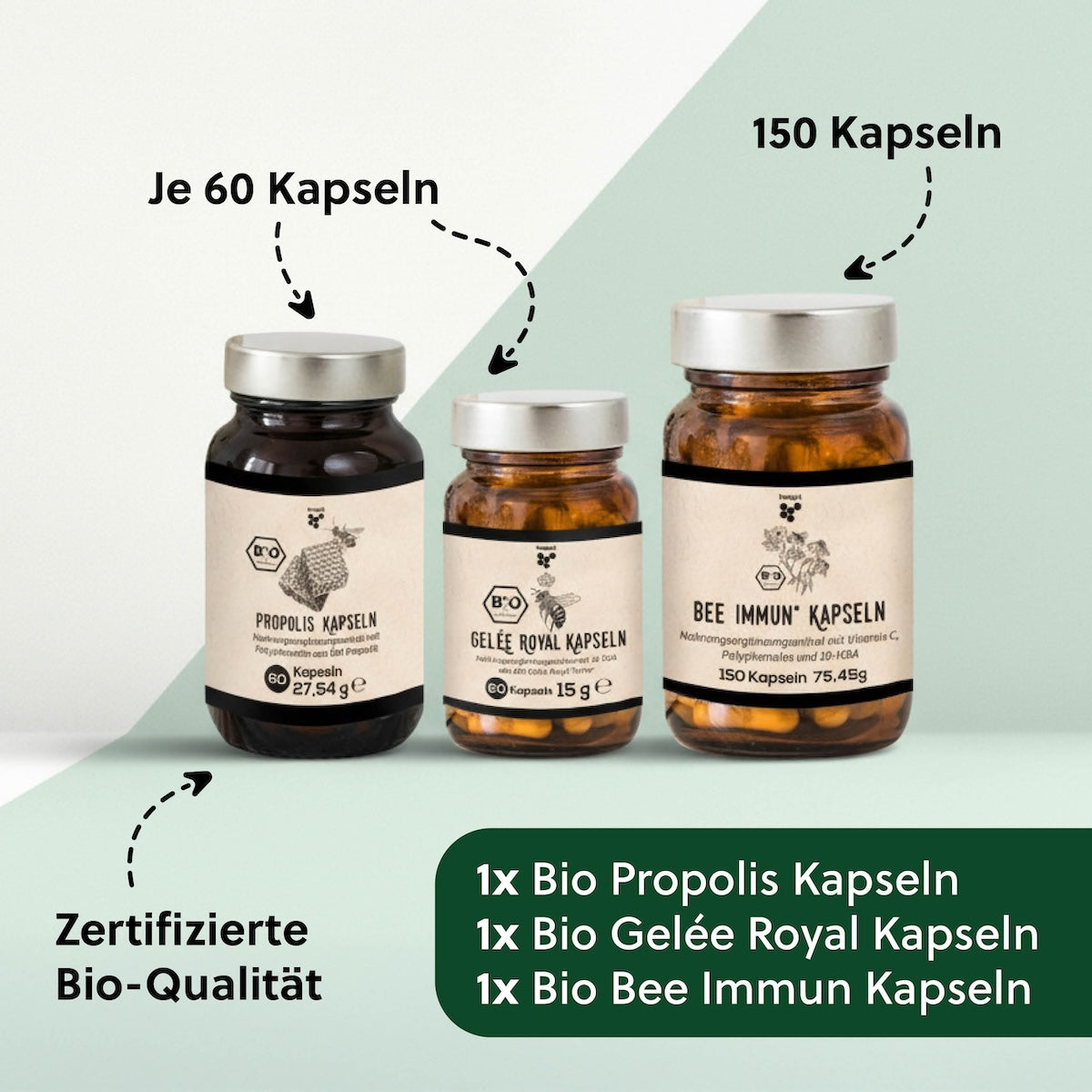 Das steckt Kapsel-Set=>Mit diesem Set bist Du bestens ausgestattet, um deine Ernährung auf natürliche Weise zu ergänzen. Das Set verbindet das Beste von der Biene mit wichtigen Pflanzenextrakten wie zum Beispiel der Acerola Beere mit Vitamin C, welches zur Funktion deines Immunsystems beiträgt. 