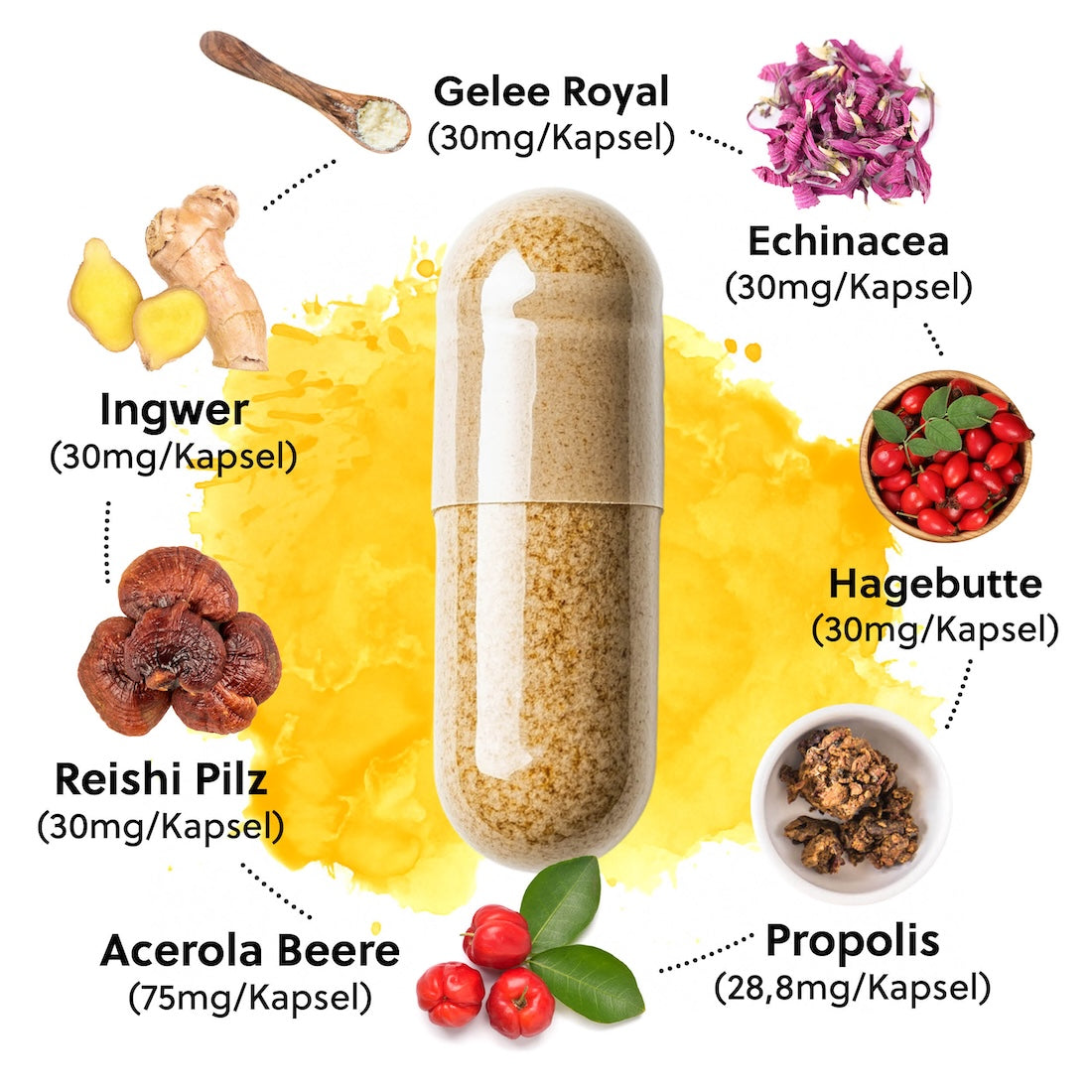 Bee Immun Kapseln in Bio Qualität=>Mit 75 mg natürlichem Vitamin C aus der Acerola-Beere pro Tagesdosis (3 Kapseln) tragen diese Kapseln zur Unterstützung des Immunsystems und zur Reduzierung von Müdigkeit bei.
