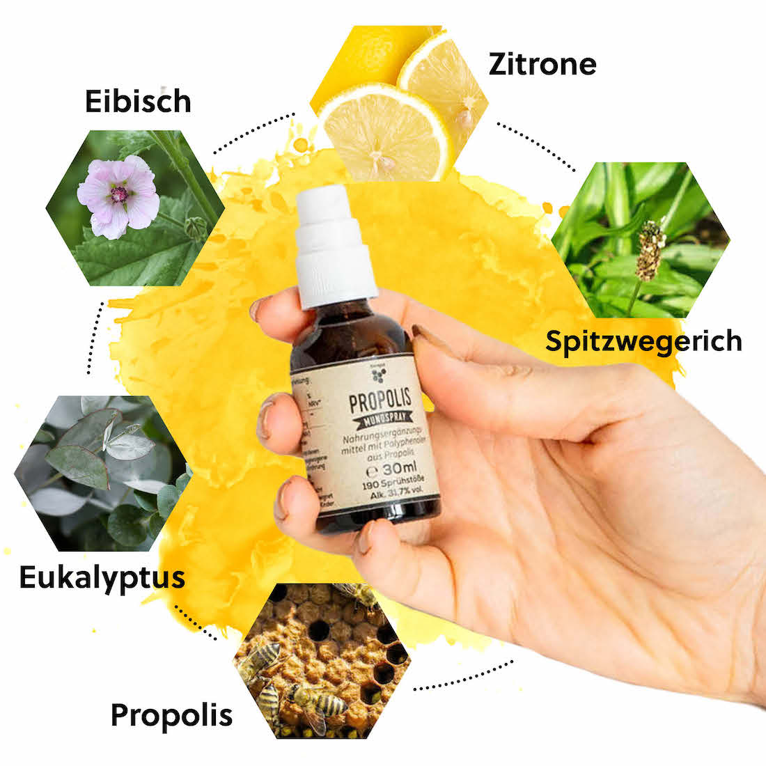Mit bewährten Pflanzenextrakten=>Das Mundspray vereint Propolis mit anderen bewährten Substanzen aus der Natur. Das ergibt ein geschmacklich angenehmes Mundspray mit einer erfrischenden Note.