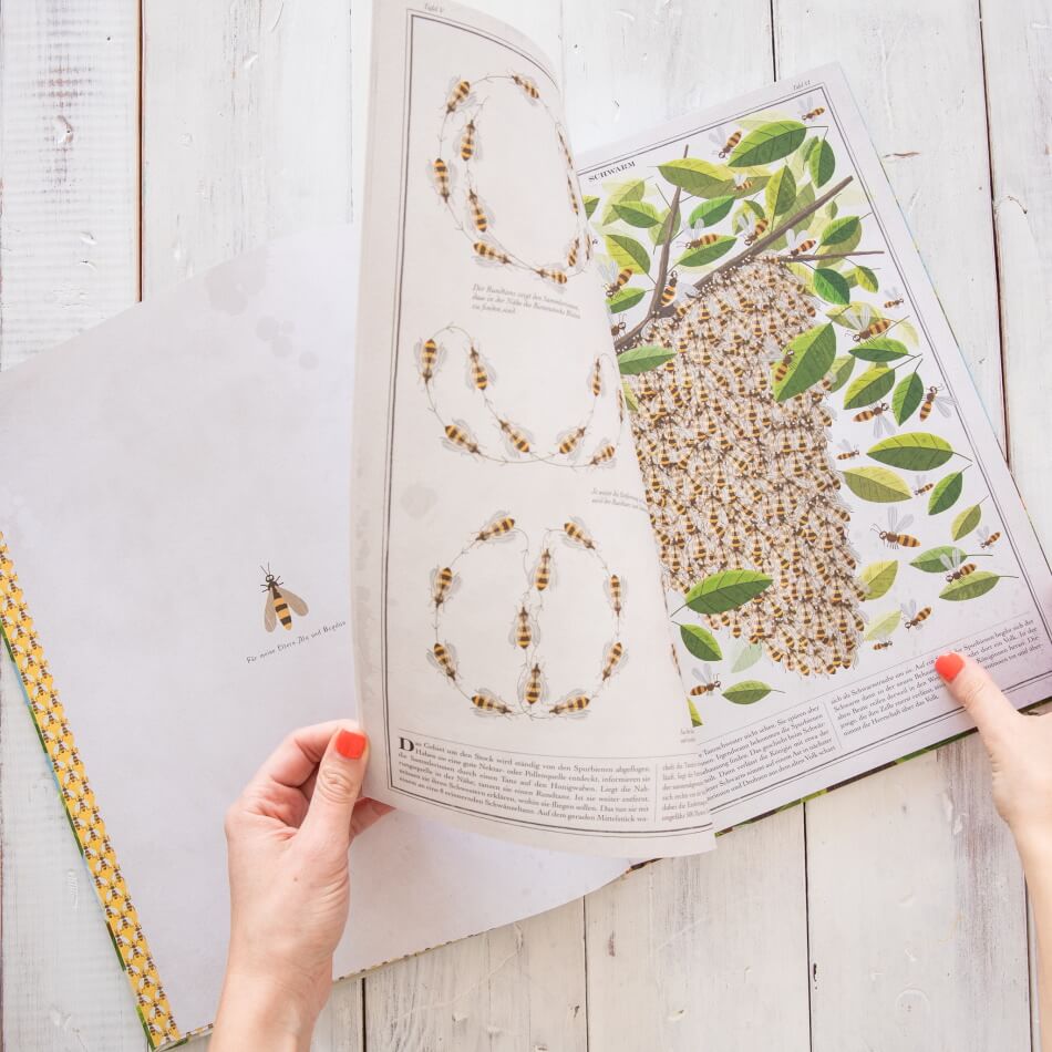 Bienen Kinderbuch von Piotr Socha