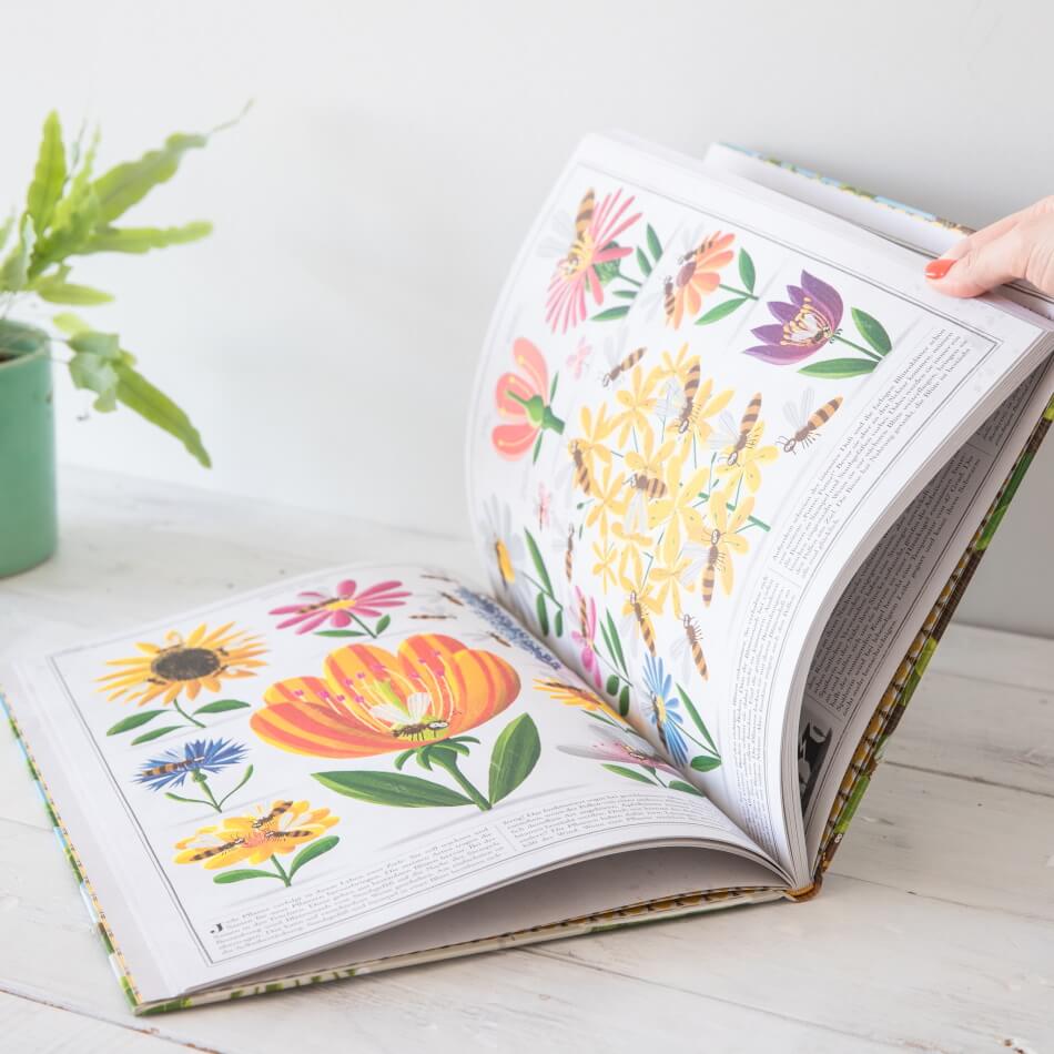 Bienen Kinderbuch von Piotr Socha