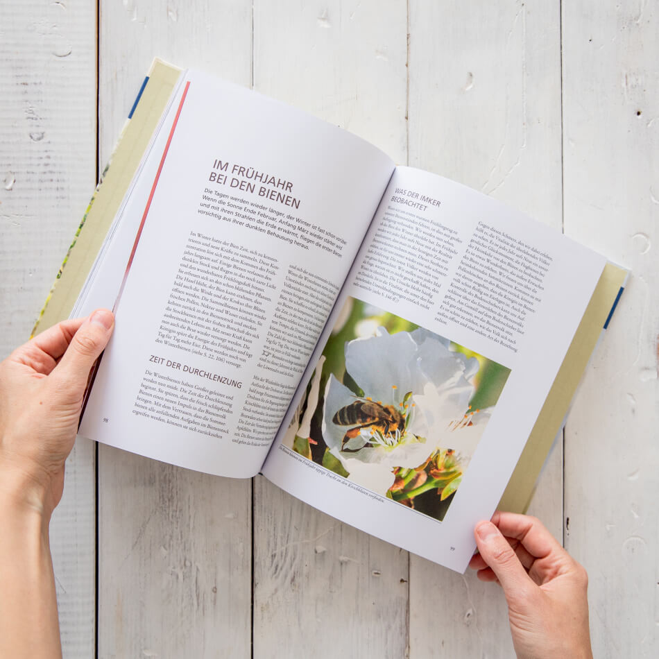 Buch: Ökologische Bienenhaltung, die Orientierung am Bien