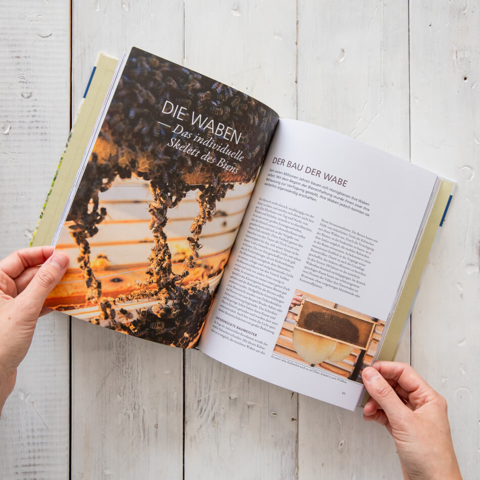 Buch: Ökologische Bienenhaltung, die Orientierung am Bien